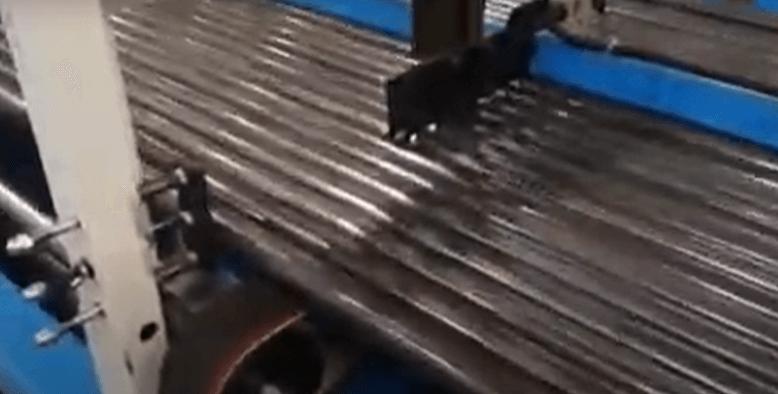 Everything about Edge Deburring Machine
